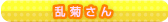 乱菊さん