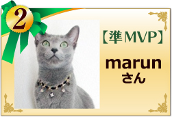 準MVP　marunさん