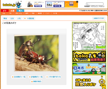 下載 六つん這いになれよネタじゃないガチなカブトムシbl Blニュース六个爬行吧不是八卦而是认真的独角仙bl新闻 下载ダウンロード