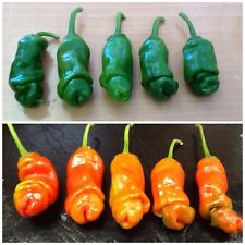 下載 チ コ激似の唐辛子 Blニュース酷似チ コ的辣椒 Bl新闻 下载ダウンロードdownload 百度云网盘