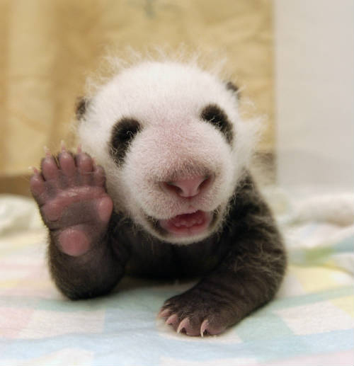 2015年赤ちゃん名前ランキング発表!bl主人公の名前も続々!