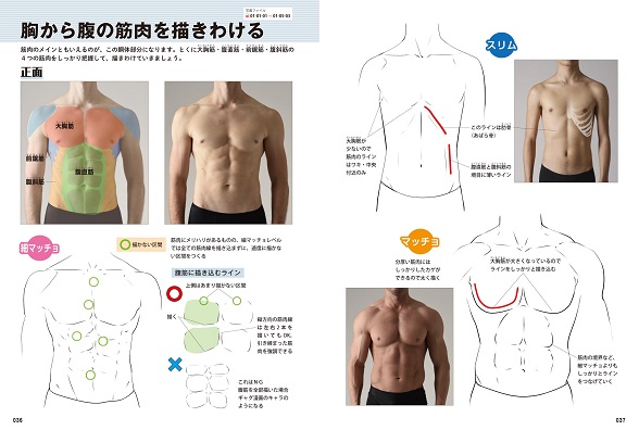 下載 男の筋肉に特化したポーズ集 細マッチョとマッチョの違いなど丸分かり Blニュース专门针对男xing肌肉的姿势集 完全知道细肌肉和肌肉的区别 Bl新闻 下载ダウンロード 下載 男の筋肉に特化したポーズ集 細マッチョとマッチョの違いなど丸分かり Blニュース专门针对男xing肌肉的姿势集 完全知道细肌肉和肌肉的区别 Bl新闻 下载ダウンロード