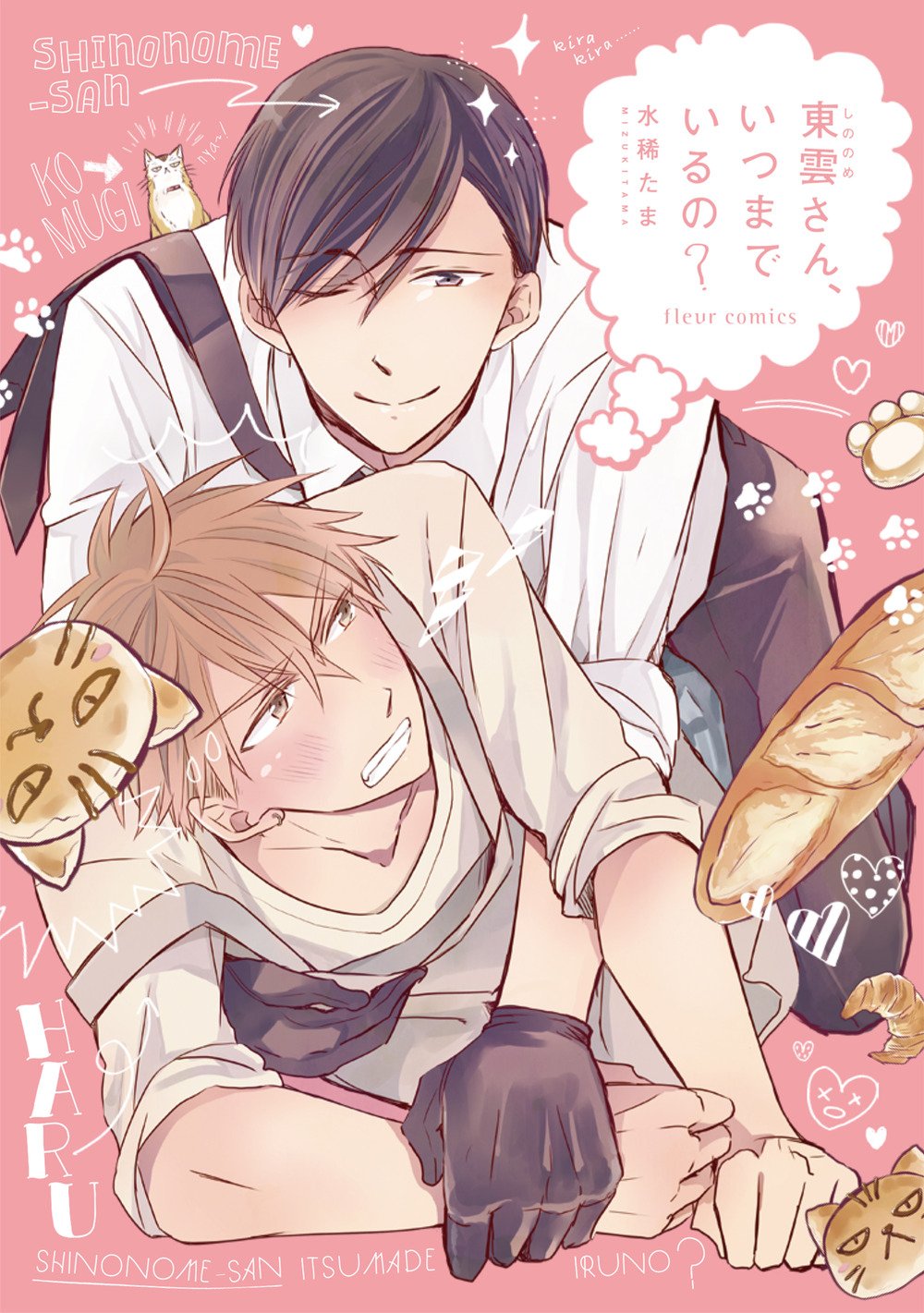 少年!紧缚モデル!元カレなど!