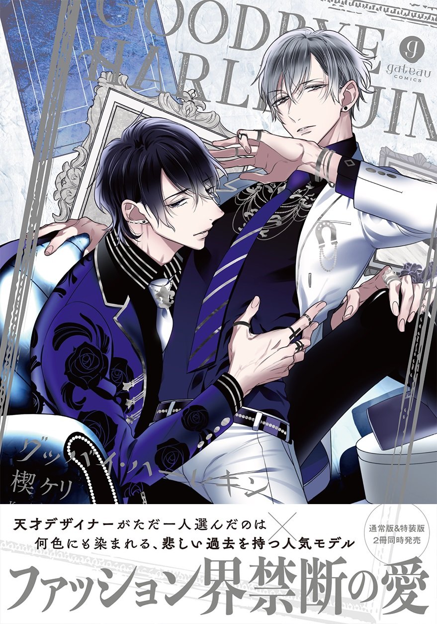 豪華ラッピング無料 人気bl作家 過去作特典セット 女性漫画