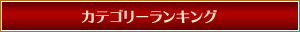 カテゴリーランキング
