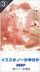 3位 イエスかノーか半分か 898P 一穂ミチ／新書館