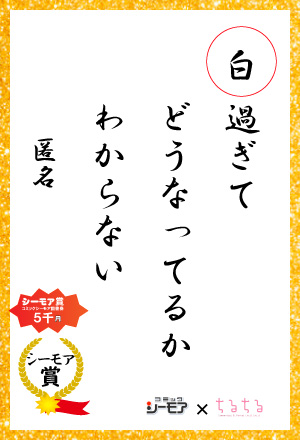 白過ぎて　どうなってるか　わからない